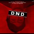 Vishesh malik - DND