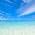 Smart Baby Lullaby、Binaural Beats Brain Waves Isochronic Tones Brain Wave Entrainment、Musica Relajante - Blissful Harmony