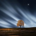 Canciones Infantiles de Niños、Musica para Dormir Dream House、Masajes Spas - Un Amanecer Inocente