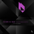 Sean & Dee - The Rising
