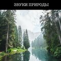Расслабляющая медицина - Звуки Природы Для Сна
