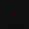 sakehands、Marty Valentine、Aris Maggiani、Cameron Ailiff、Lauren Boncato、Ryan Kim - PLASTIC (Explicit)
