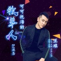 王琪 - 可可托海的牧羊人