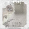 Roy Cost Kitty Houston - Hey Baby