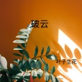叶子生花 - 扑火 (DJ版)