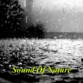 The Outdoor Library - Thunder