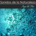 Sonidos Naturales Relax - Canto de Aves