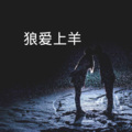 齐羽、苏可可 - 来自天堂的魔鬼
