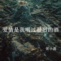 张小磊 - 爱情是我喝过最烈的酒