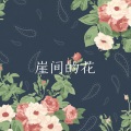 大彻 - 崖间的花