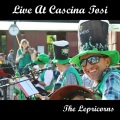 The Lepricorns - Tin Whistle