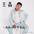王磊 - 谢谢你让我爱你