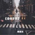 晓星沉 - 奈何岁月