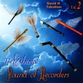 David Young、David & The High Spirit - Acharonava