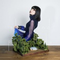 上田麗奈 - sleepland