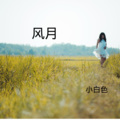 小白色 - 干杯