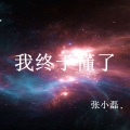 张小磊 - 我终于懂了