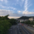 骚东 - 爱情有时很残忍 (DJ版)