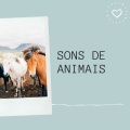 Musicas Relaxantes 8D - Som De Animais