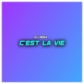DJ Desa - C'est La Vie