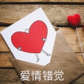 苏果儿 - 披着羊皮的狼
