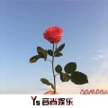 藏斌 - 追梦蚂蚁