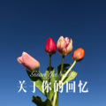 MC小东苏 - 怪我太天真