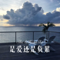 MC刘梦阳 - 谁的眼泪在飞 (DJ版)