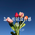 阿木子心 - 知青之恋 (DJ版)