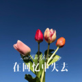 阿木子心 - 愿你被这世界温柔以待 (DJ版)