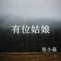 张小磊 - 有位姑娘