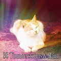 Thunderstorm Meditation - Heavy Rain