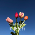 阿木子心 - 自动自觉