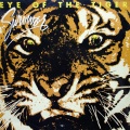 Survivor - Eye of the Tiger