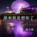 张小磊 - 原来我是想你了