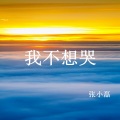 张小磊 - 我不想哭