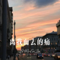 MC刘梦阳 - 梨花园 (DJ版)