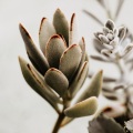Relaxing Music Therapy、Mother Nature Sound FX、Nature Sounds Nature Music - Jungle Trees