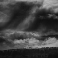 Sounds Of Nature : Thunderstorm, Rain、Gentle Rain Makers、Rain Man Sounds - LoFi Rain in the Shed