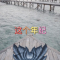 阿欣、圈妹 - 中毒