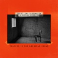 Terri Lyne Carrington、Social Science、Kassa Overall - Trapped In The American Dream (Radio Edit|Explicit)