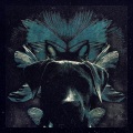 Sigurd Thomassen、Linnea Dale、Of Norway、Linnea Aslaksen、Jonas Aslaksen - Wait for the Morning