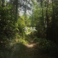 晓梦、虞姬 - 同当