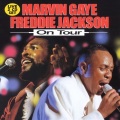 Marvin Gaye、freddie jackson - Medley: Ain't Nothing Like The Real Thing / Heaven Must Have Sent Your Precious Love