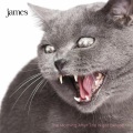 James - Lookaway