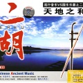 华语群星 - 容易受伤的女人•像雾像雨又像风