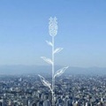コブクロ - 蕾