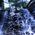 Nature Sounds Society Japan - Kawaguchi Stream 1