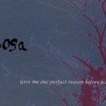 Mimosa - 旭