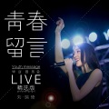 刘瑞琦 - 夏天的风 (Live)